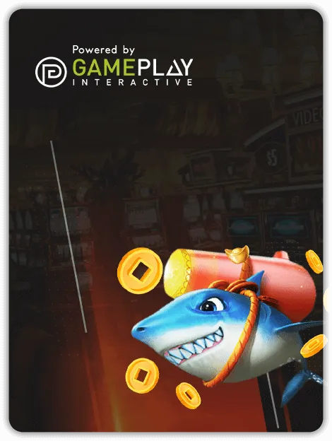 Game Play