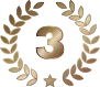 Top 3 Badge